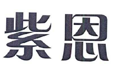 紫恩数码科技有限（紫恩数码科技有限公司官网）-图1