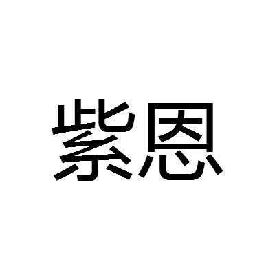 紫恩数码科技有限（紫恩数码科技有限公司官网）-图2