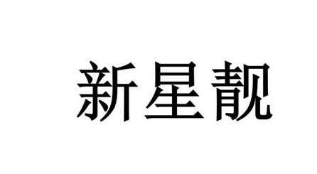 辛星数码科技股票代码是多少（辛星数码电子有限公司）-图3