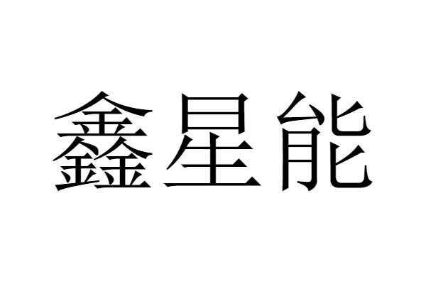 辛星数码科技股票代码是多少（辛星数码电子有限公司）-图2