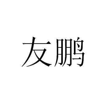 友鹏数码科技招聘官网（友鹏科技有限公司）