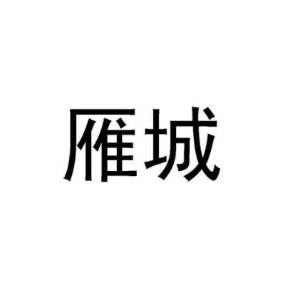 广西雁城数码科技有限公司（雁城说雁）-图1