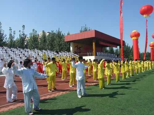 濮阳市太极数码科技中心（濮阳太极拳）-图3