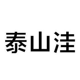 泰山数码科技店怎么样啊（泰山科技有限公司官网）-图3