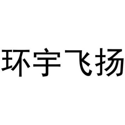 环宇飞扬数码科技有限公司（北京环宇飞扬）-图2