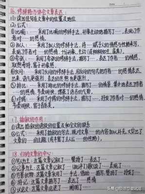 谢老师数码科技论（数码老师阅读理解）-图1