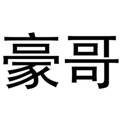 豪哥数码科技官网下载安装（豪哥服饰有限公司）