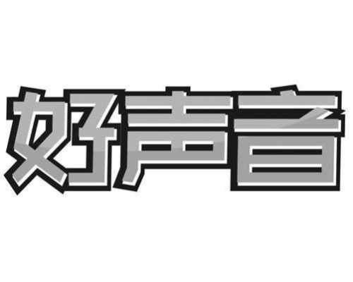 好声音音频数码科技（好声音科技有限公司）