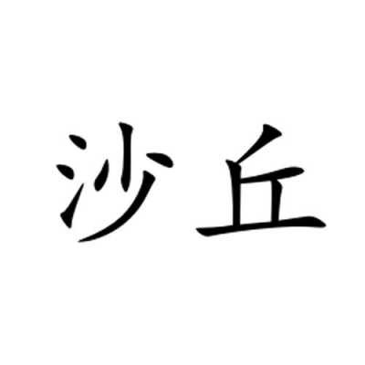 南京沙丘数码科技有限公司（南京沙丘数码科技有限公司怎么样）-图2