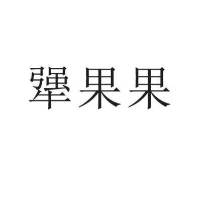 果果数码科技有限公司（果果股份有限公司）-图3