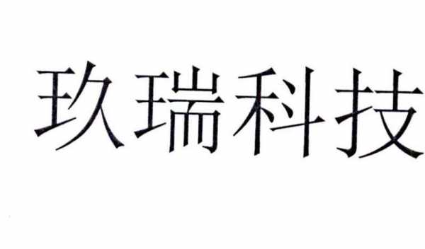 玖瑞数码科技有限公司官网（玖瑞集团老总照片）-图2