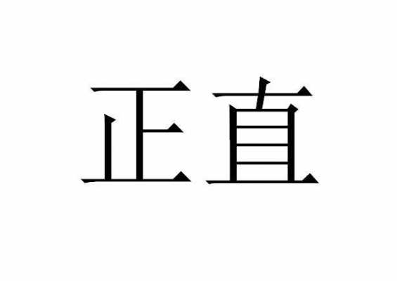 正直数码科技（正直实业有限公司）-图3