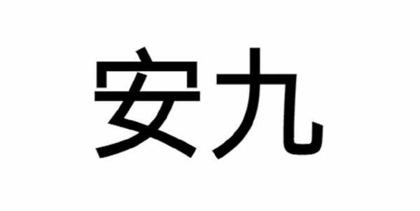 安徽安九数码科技有限公司（合肥安九）-图1