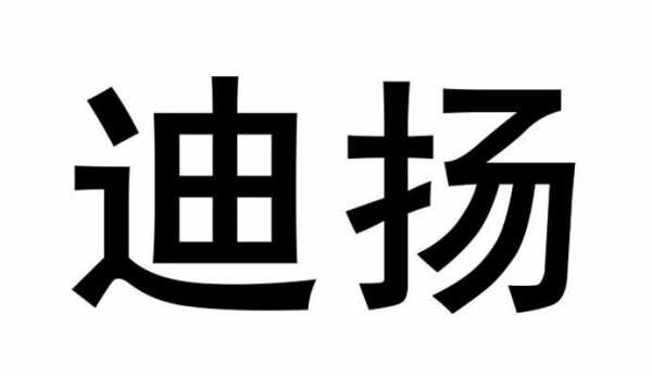 迪洋数码科技怎么样（迪扬科技有限公司是做什么的）