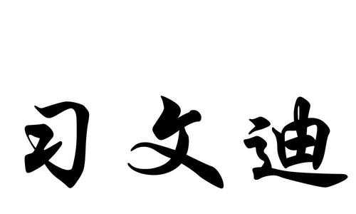 杭州文迪数码科技有限公司（文迪实业有限公司）-图3