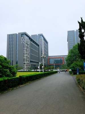 中国数码科技大学（中国数码集团是国企吗）-图2