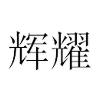 辉耀数码科技怎么样啊（辉耀科技有限公司）