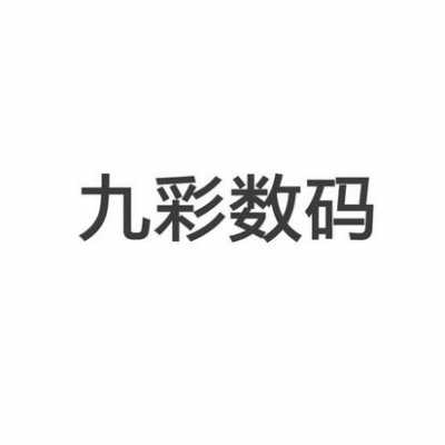 中山九彩数码科技有限公司（中山九彩数码科技有限公司经理是谁）-图3