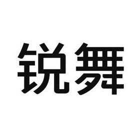 深圳锐舞数码科技有限公司官网（锐舞官方旗舰店）-图1