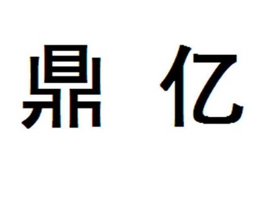 鼎亿数码科技有限公司（鼎亿信息科技有限公司）-图3