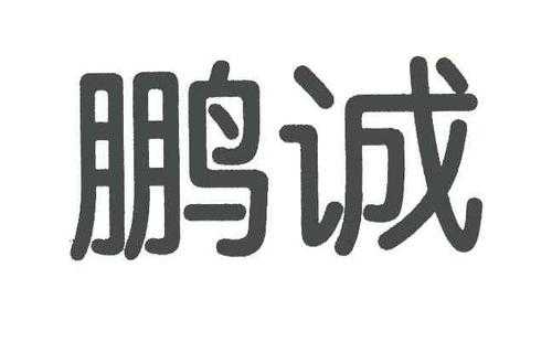 鹏诚数码科技（鹏诚数码科技怎么样）