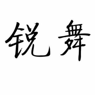 锐舞数码科技有限公司招聘信息（锐舞官网）