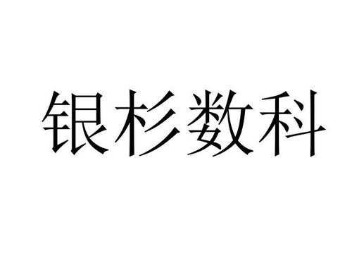 银杉数码科技（银杉股份有限公司）-图2