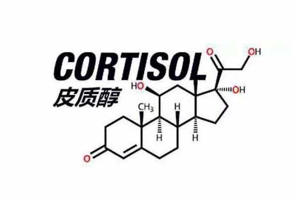 杭州醇色数码科技（杭州醇书贸易有限公司）-图3