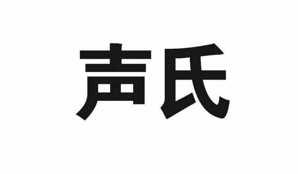 声氏数码科技怎么样（声氏数码科技怎么样可靠吗）