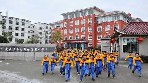 龙泉绿谷数码科技（浙江省龙泉市绿谷小学）