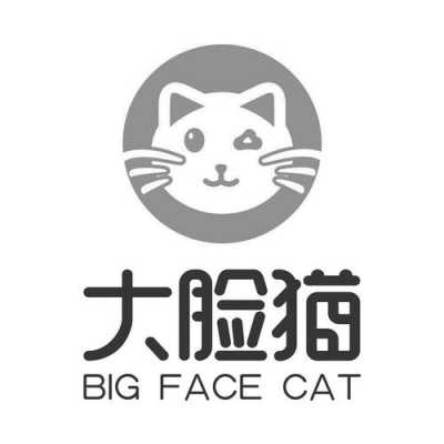 大脸猫数码科技服务工作室（大脸猫电子商务有限公司）-图1