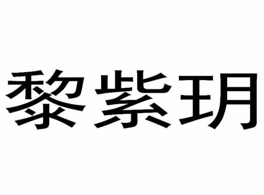 广州紫玥数码科技公司地址（广州紫玥数码科技公司地址在哪里）-图2