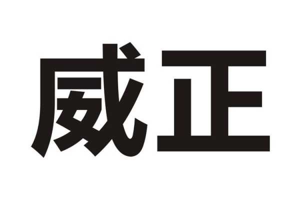 威正数码科技有限公司（威正数码科技有限公司官网）-图2