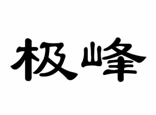 极峰数码科技招聘信息网（极锋公司）-图2