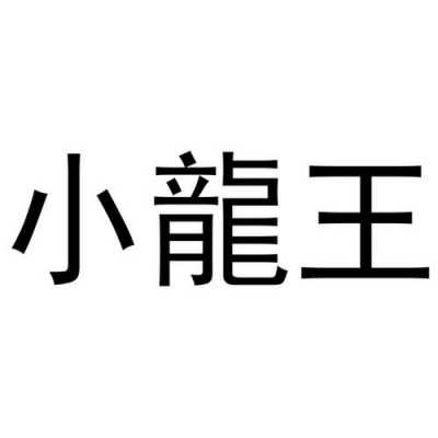 深圳小龙王数码科技（深圳小龙科技有限公司）-图1