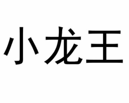 深圳小龙王数码科技（深圳小龙科技有限公司）-图3