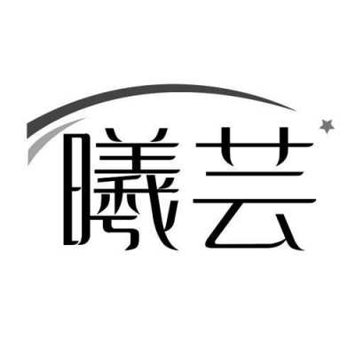 芸曦数码科技有限公司（芸曦含义）-图2