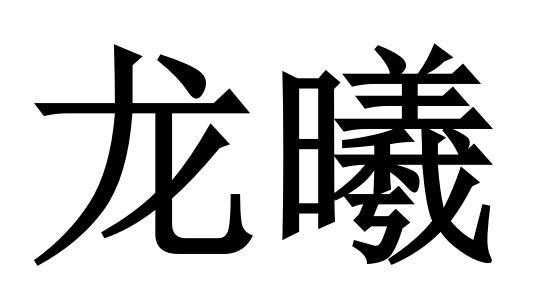 龙曦数码科技有限公司招聘（龙曦数码科技有限公司招聘）-图3