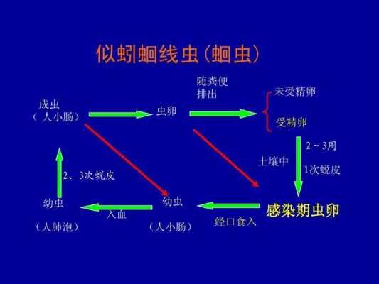 it之家数码科技生活百度寄生虫（百度寄生虫收录）-图2