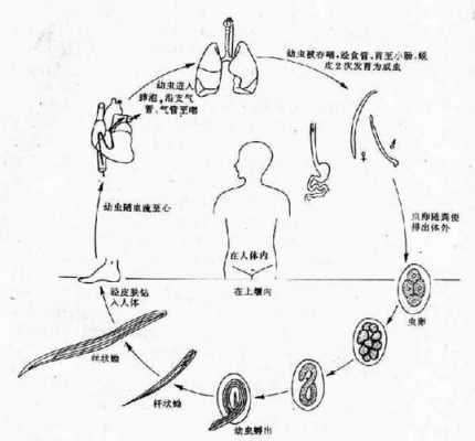 it之家数码科技生活百度寄生虫（百度寄生虫收录）-图3