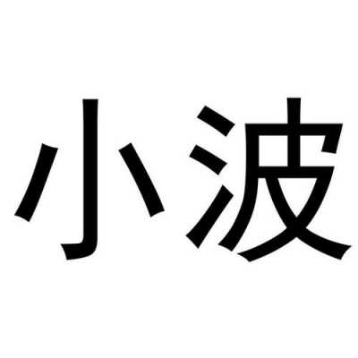 小波数码科技宣传（小波 官网）