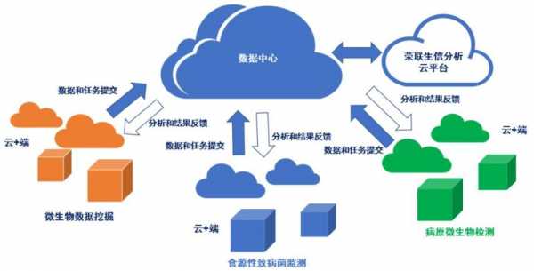 云生数码科技股票行情分析（云生数码科技股票行情分析）-图3