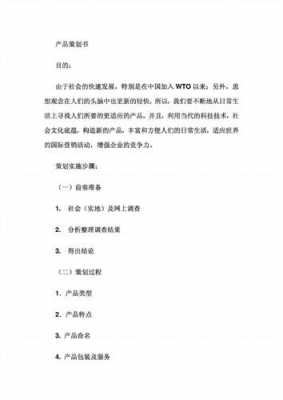 数码科技商业策划书（数码科技商业策划书怎么写）