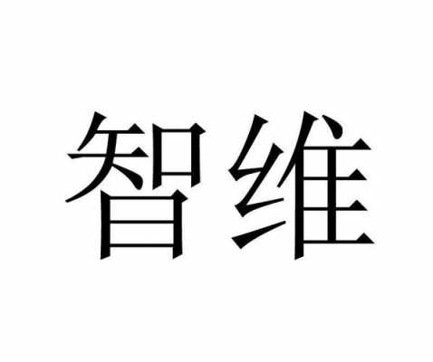 智维数码科技（智维是什么）-图2