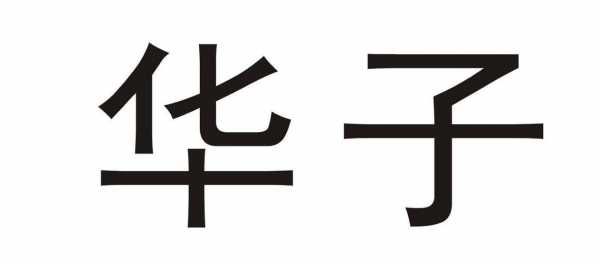 华子数码科技怎么样（华子集团）