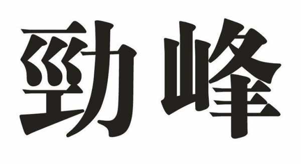 劲峰数码科技怎么样啊值得去吗（劲峰数码科技怎么样啊值得去吗安全吗）-图3