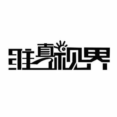 视界真情数码科技（深圳市真视界科技有限公司）-图3