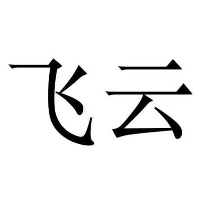 合肥飞云数码科技招聘（合肥飞云数码科技招聘电话）