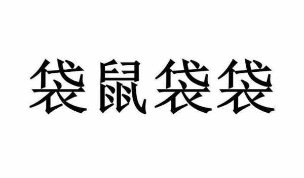 袋鼠袋袋数码科技公司（袋鼠平台）