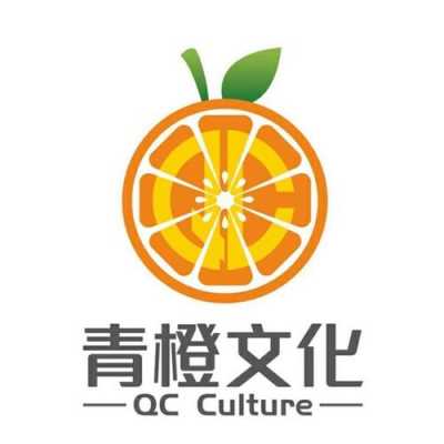 湖南青橙数码科技有限公司（长沙青橙影视文化传播公司）-图3